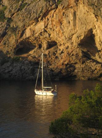 Seraphim Mallorca